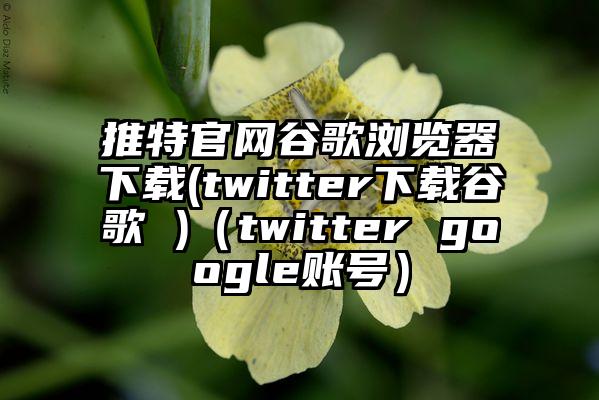 推特官网谷歌浏览器下载(twitter下载谷歌 )（twitter google账号）