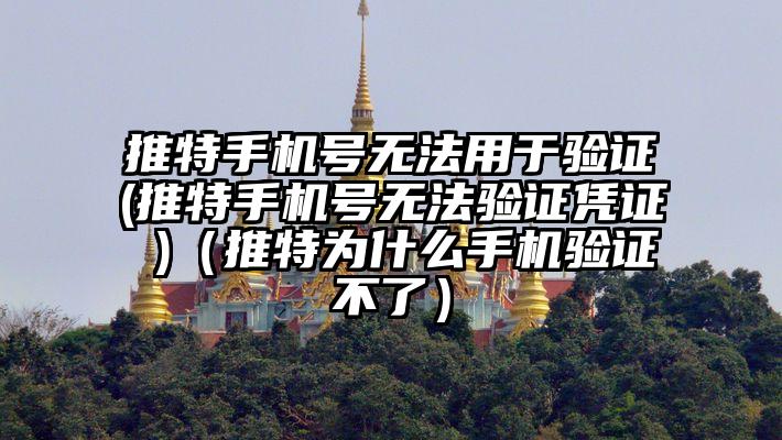 推特手机号无法用于验证(推特手机号无法验证凭证 )（推特为什么手机验证不了）