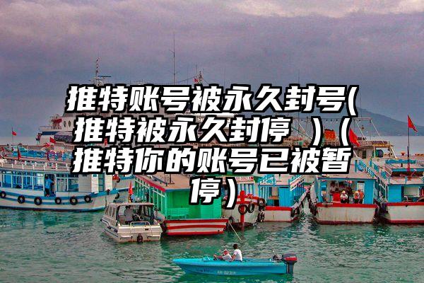 推特账号被永久封号(推特被永久封停 )（推特你的账号已被暂停）
