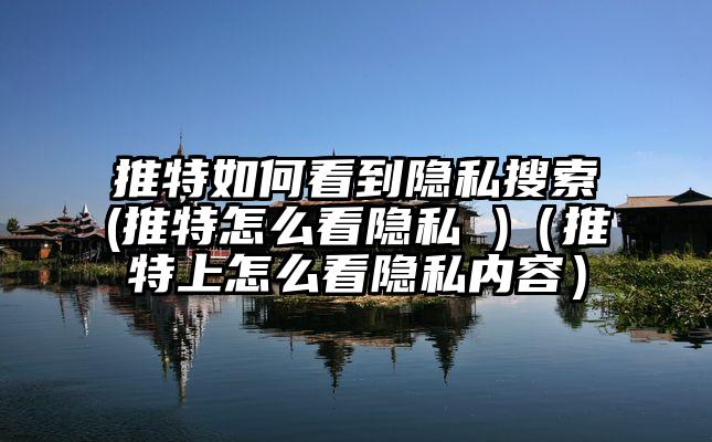 推特如何看到隐私搜索(推特怎么看隐私 )（推特上怎么看隐私内容）