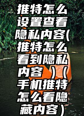 推特怎么设置查看隐私内容(推特怎么看到隐私内容 )（手机推特怎么看隐藏内容）