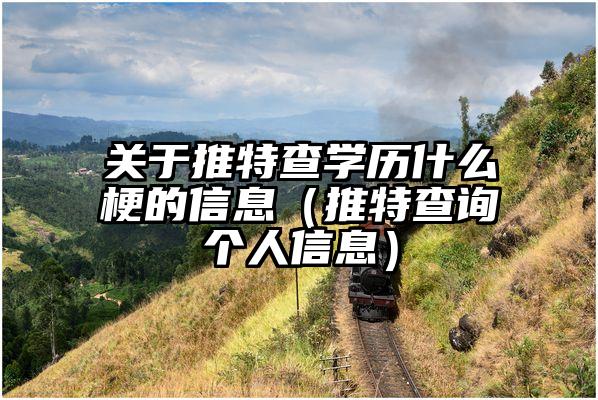 关于推特查学历什么梗的信息（推特查询个人信息）