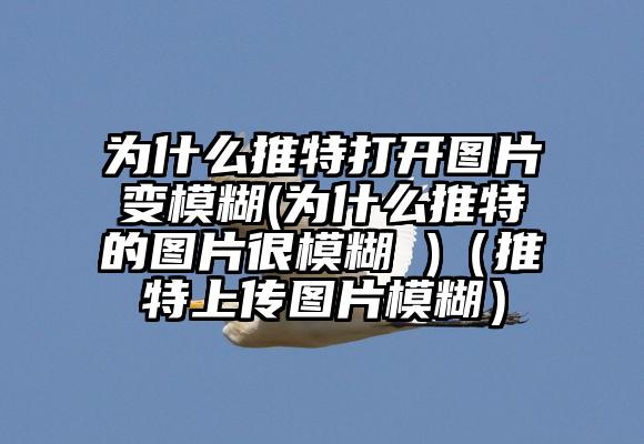 为什么推特打开图片变模糊(为什么推特的图片很模糊 )（推特上传图片模糊）