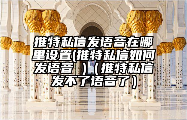 推特私信发语音在哪里设置(推特私信如何发语音 )（推特私信发不了语音了）