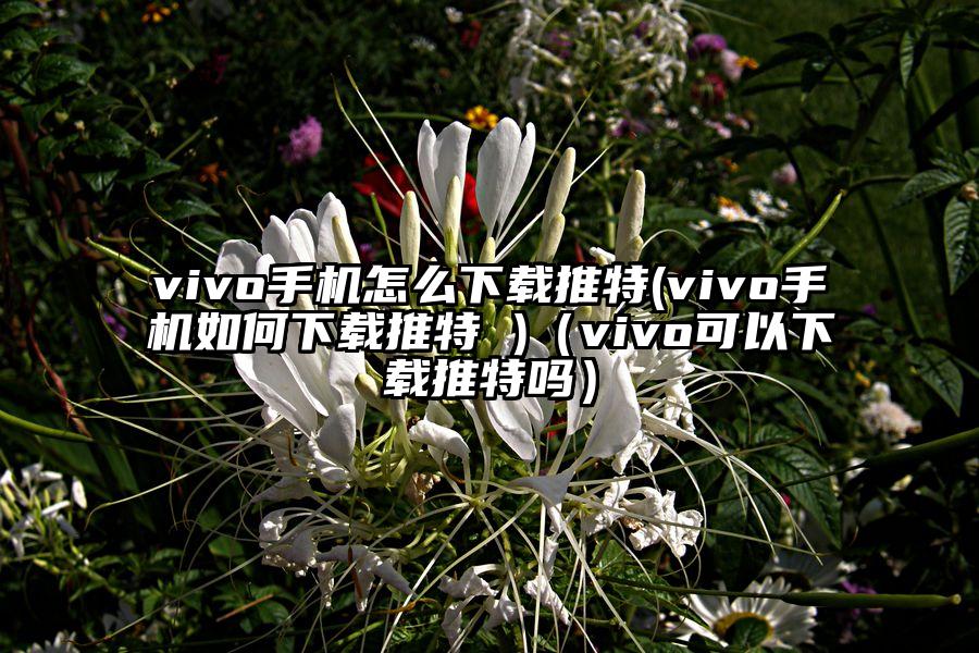 vivo手机怎么下载推特(vivo手机如何下载推特 )（vivo可以下载推特吗）