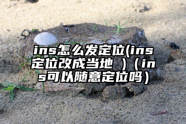 ins怎么发定位(ins定位改成当地 )（ins可以随意定位吗）