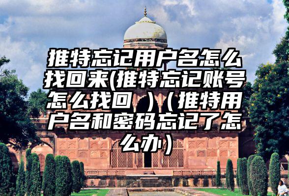 推特忘记用户名怎么找回来(推特忘记账号怎么找回 )（推特用户名和密码忘记了怎么办）