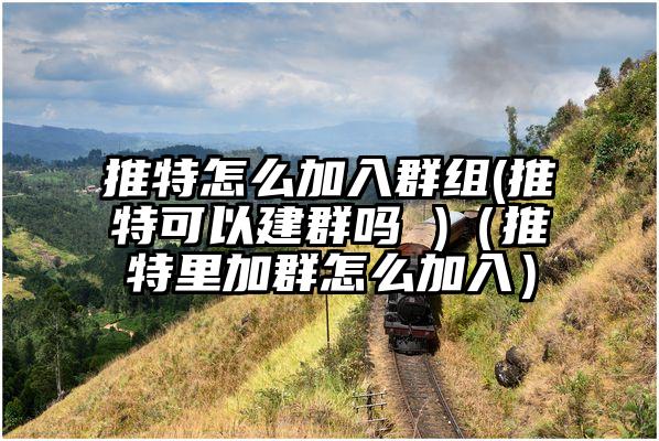 推特怎么加入群组(推特可以建群吗 )（推特里加群怎么加入）