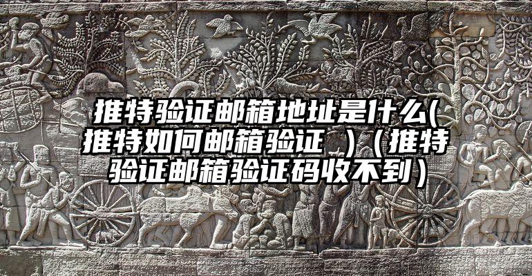 推特验证邮箱地址是什么(推特如何邮箱验证 )（推特验证邮箱验证码收不到）