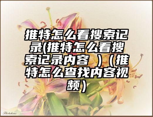推特怎么看搜索记录(推特怎么看搜索记录内容 )（推特怎么查找内容视频）