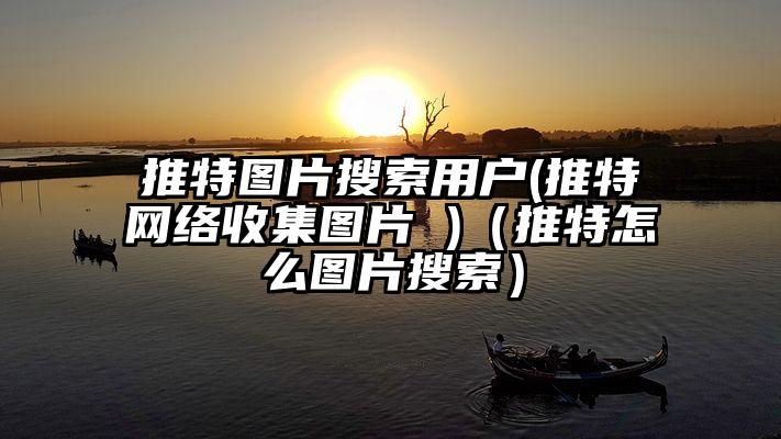 推特图片搜索用户(推特网络收集图片 )（推特怎么图片搜索）