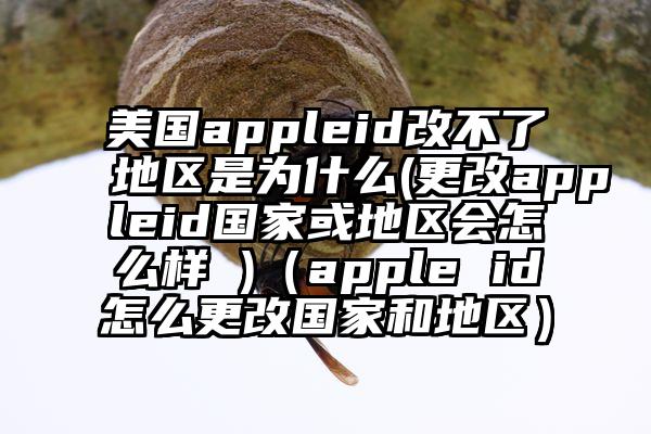 美国appleid改不了地区是为什么(更改appleid国家或地区会怎么样 )（apple id怎么更改国家和地区）