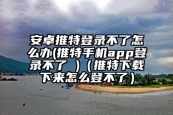 安卓推特登录不了怎么办(推特手机app登录不了 )（推特下载下来怎么登不了）