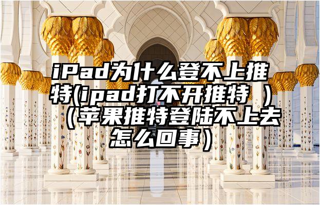 iPad为什么登不上推特(ipad打不开推特 )（苹果推特登陆不上去怎么回事）