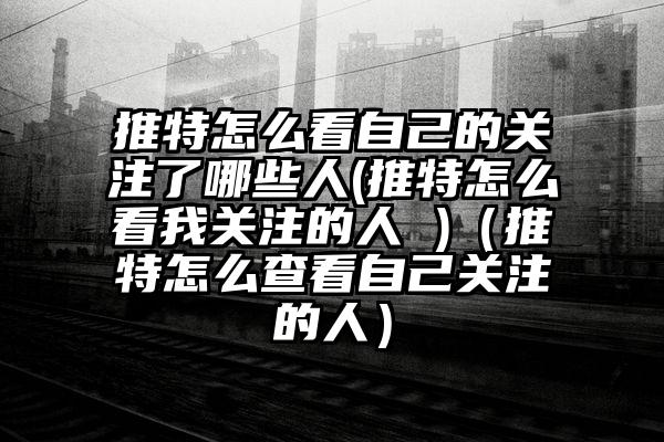 推特怎么看自己的关注了哪些人(推特怎么看我关注的人 )（推特怎么查看自己关注的人）