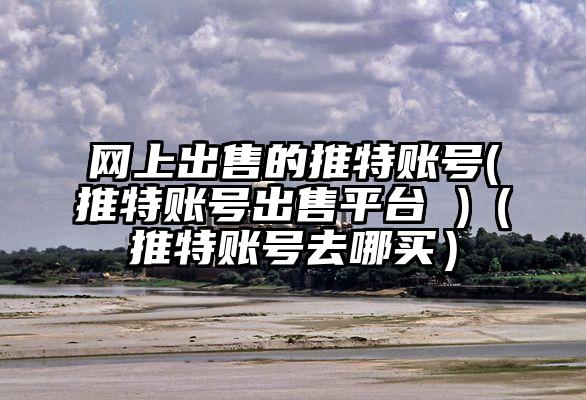 网上出售的推特账号(推特账号出售平台 )（推特账号去哪买）