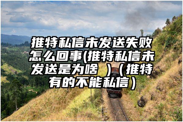 推特私信未发送失败怎么回事(推特私信未发送是为啥 )（推特有的不能私信）