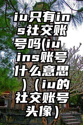 iu只有ins社交账号吗(iu ins账号什么意思 )（iu的社交账号头像）
