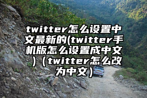 twitter怎么设置中文最新的(twitter手机版怎么设置成中文 )（twitter怎么改为中文）