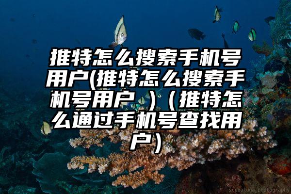 推特怎么搜索手机号用户(推特怎么搜索手机号用户 )（推特怎么通过手机号查找用户）