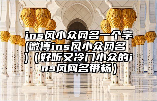 ins风小众网名一个字(微博ins风小众网名 )(好听又冷门小众的ins风网名带杨)