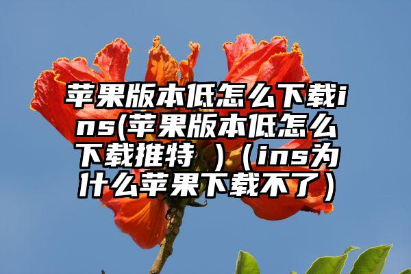 苹果版本低怎么下载ins(苹果版本低怎么下载推特 )（ins为什么苹果下载不了）