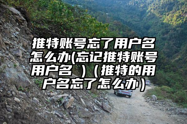 推特账号忘了用户名怎么办(忘记推特账号用户名 )（推特的用户名忘了怎么办）