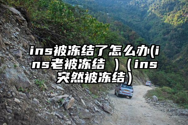 ins被冻结了怎么办(ins老被冻结 )（ins突然被冻结）