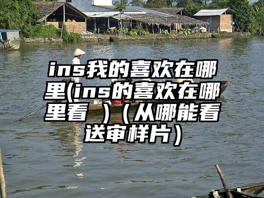 ins我的喜欢在哪里(ins的喜欢在哪里看 )（从哪能看送审样片）