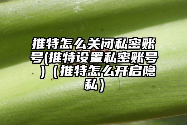 推特怎么关闭私密账号(推特设置私密账号 )（推特怎么开启隐私）