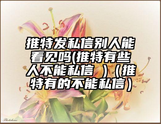 推特发私信别人能看见吗(推特有些人不能私信 )（推特有的不能私信）