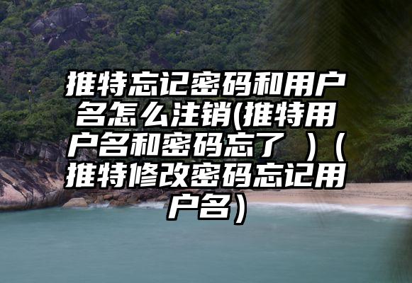 推特忘记密码和用户名怎么注销(推特用户名和密码忘了 )（推特修改密码忘记用户名）