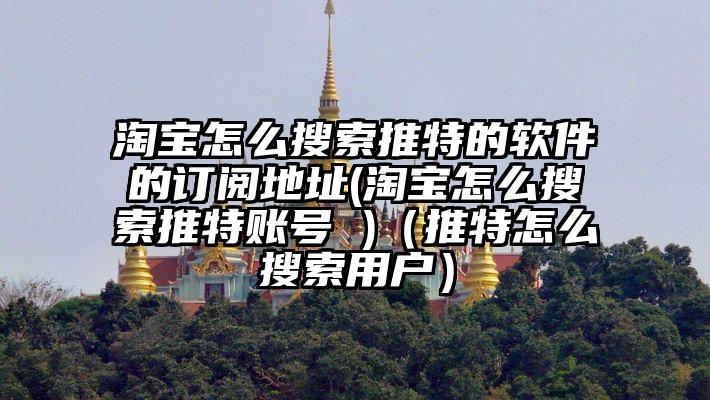 淘宝怎么搜索推特的软件的订阅地址(淘宝怎么搜索推特账号 )（推特怎么搜索用户）
