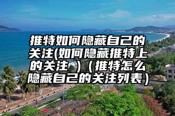 推特如何隐藏自己的关注(如何隐藏推特上的关注 )（推特怎么隐藏自己的关注列表）