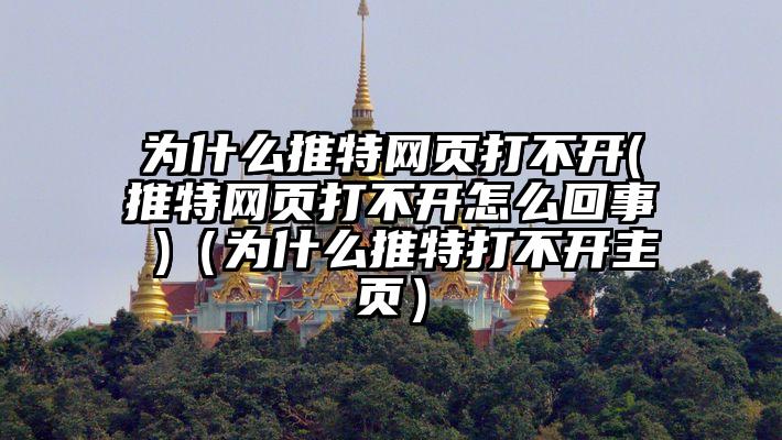 为什么推特网页打不开(推特网页打不开怎么回事 )（为什么推特打不开主页）