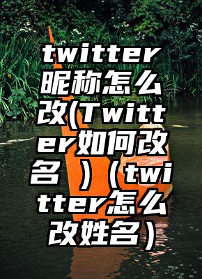twitter昵称怎么改(Twitter如何改名 )（twitter怎么改姓名）