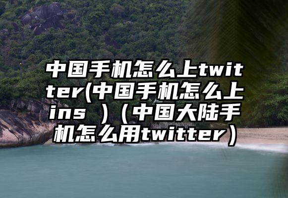 中国手机怎么上twitter(中国手机怎么上ins )（中国大陆手机怎么用twitter）