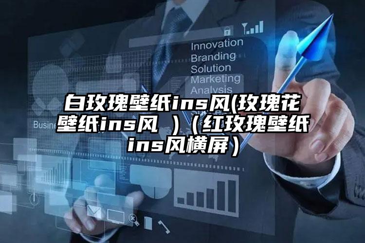 白玫瑰壁纸ins风(玫瑰花壁纸ins风 )（红玫瑰壁纸ins风横屏）