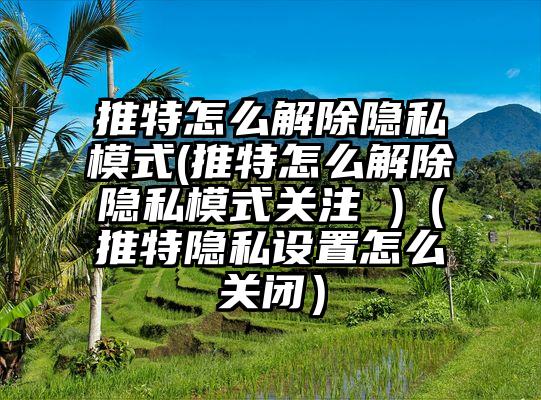 推特怎么解除隐私模式(推特怎么解除隐私模式关注 )（推特隐私设置怎么关闭）