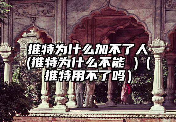 推特为什么加不了人(推特为什么不能 )（推特用不了吗）