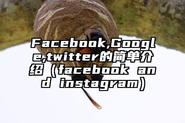Facebook,Google,twitter的简单介绍（facebook and instagram）