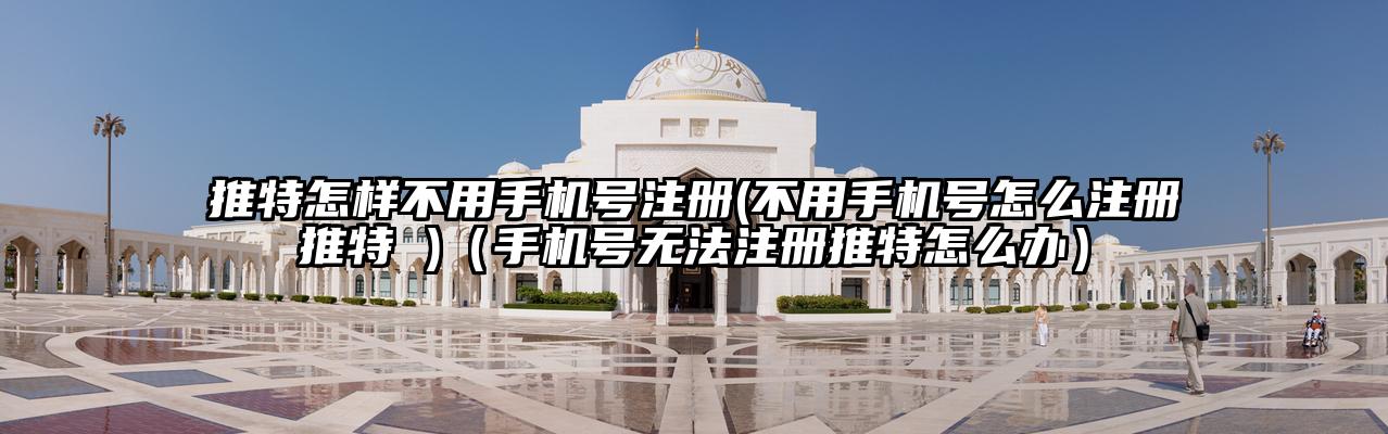 推特怎样不用手机号注册(不用手机号怎么注册推特 )（手机号无法注册推特怎么办）
