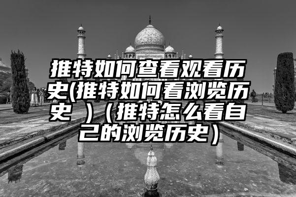 推特如何查看观看历史(推特如何看浏览历史 )（推特怎么看自己的浏览历史）