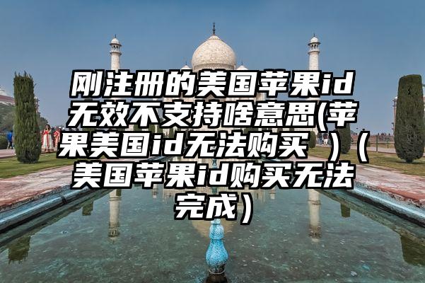 刚注册的美国苹果id无效不支持啥意思(苹果美国id无法购买 )（美国苹果id购买无法完成）