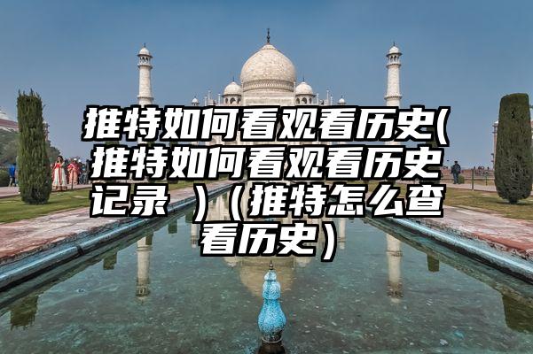 推特如何看观看历史(推特如何看观看历史记录 )（推特怎么查看历史）