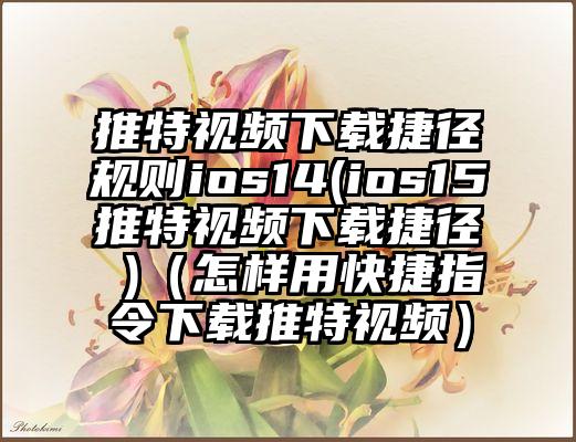 推特视频下载捷径规则ios14(ios15推特视频下载捷径 )（怎样用快捷指令下载推特视频）