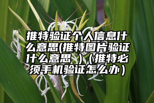 推特验证个人信息什么意思(推特图片验证什么意思 )（推特必须手机验证怎么办）
