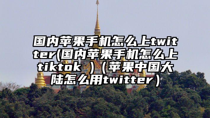 国内苹果手机怎么上twitter(国内苹果手机怎么上tiktok )（苹果中国大陆怎么用twitter）