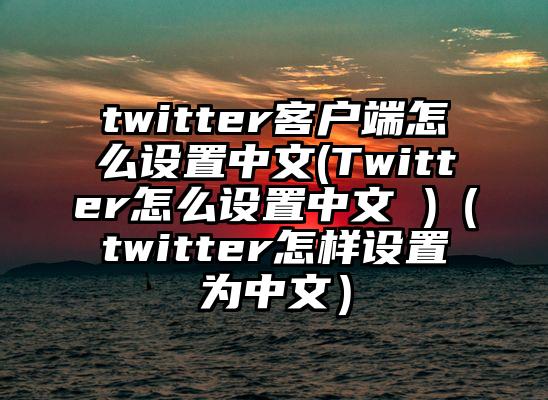 twitter客户端怎么设置中文(Twitter怎么设置中文 )（twitter怎样设置为中文）