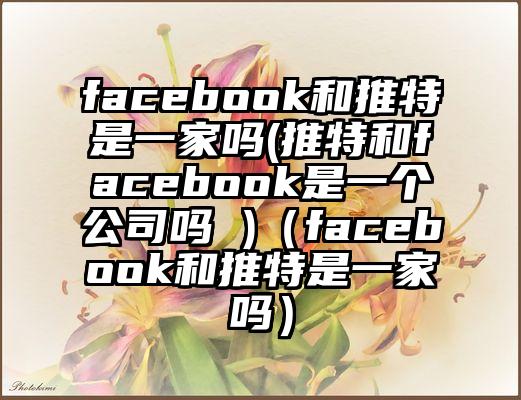 facebook和推特是一家吗(推特和facebook是一个公司吗 )（facebook和推特是一家吗）
